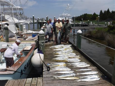 Amazing Fishing at Pirates Cove... - Pirate's Cove Marina