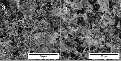 The microstructure of the research material: (a) delivery state,... | Download Scientific Diagram