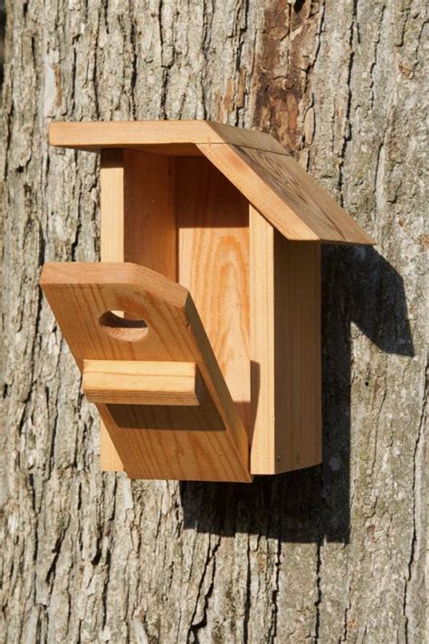 White-breasted Nuthatch Cedar Bird House - Etsy | Bird house kits, Bird house, Bird houses