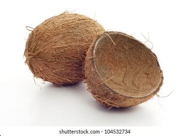 96.663 imagens de In coconut shell Imagens, fotos stock e vetores | Shutterstock