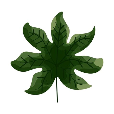 green tropical leaf 3662283 Vector Art at Vecteezy