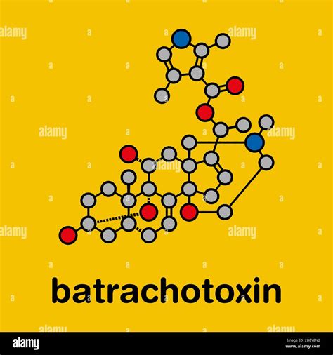 Batrachotoxin neurotoxin molecule, illustration Stock Photo - Alamy