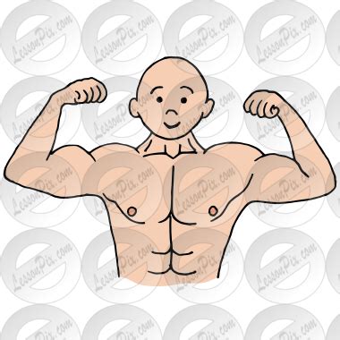 Muscles Picture for Classroom / Therapy Use - Great Muscles Clipart