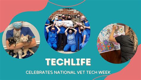 VetCor TechLife | National Vet Tech Week