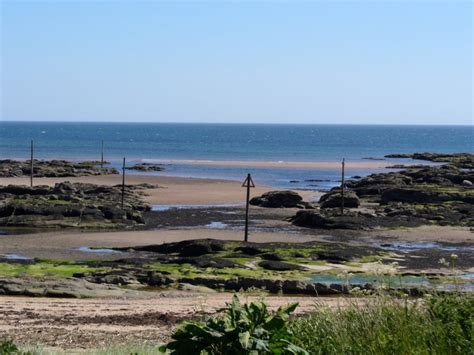 Westhaven Beach, Angus, Scotland :: British Beaches