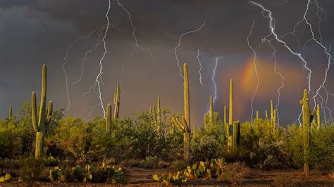 Saguaro Lightning – Bing Wallpaper Download