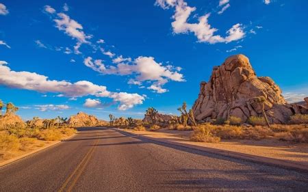 Desert Road, Joshua Tree NP, Southern California - Deserts & Nature Background Wallpapers on ...