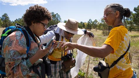 Scientists push against barriers to diversity in the field sciences ...