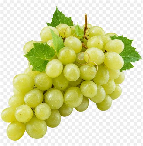 Uva Verde - Grape PNG Image With Transparent Background png - Free PNG Images | Grapes, Green ...