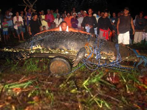 Lolong, the world's largest captive crocodile, dies in the Philippines - CBS News