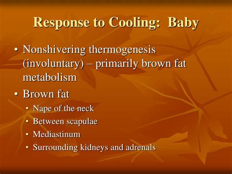 PPT - Thermoregulation in the Neonate PowerPoint Presentation, free download - ID:2369652