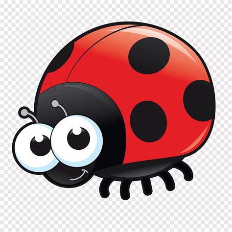 Insect Cartoon Drawing, Bug, animals, insects png | PNGEgg