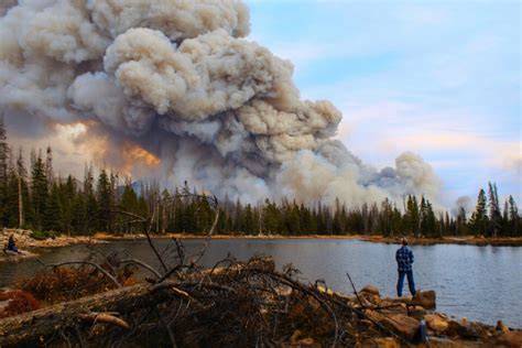 Wildfire smoke is an underestimated threat to public health • Earth.com