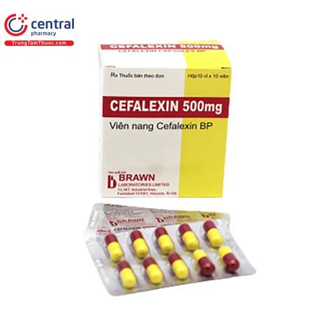 Thuốc Cefalexin 500mg Brawn trị nhiễm khuẩn đường hô hấp do phế cầu