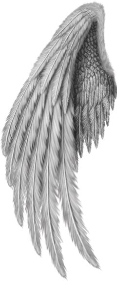 Angel wings tattoo on back, Angel wings drawing, Wings drawing