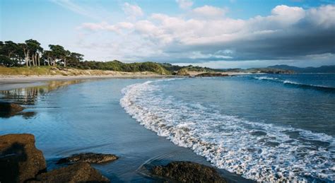 Tāwharanui Regional Park