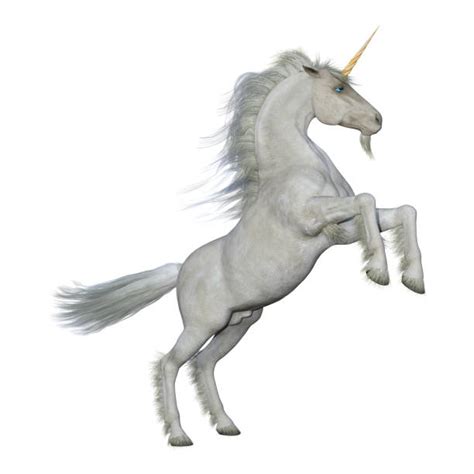 White Unicorn Wallpaper