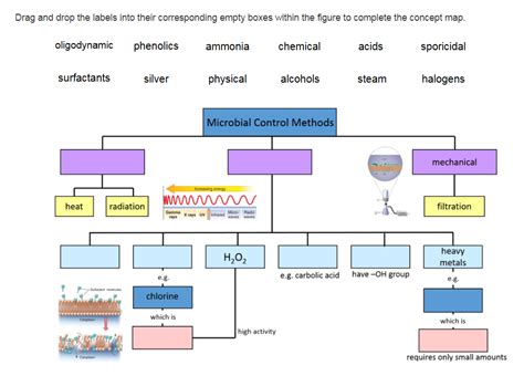 Microbial Control Methods Concept Map - Time Zones Map