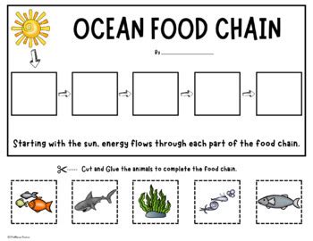 Ocean Food Chains - Activity and Word Wall Cards - Animal Food Chain