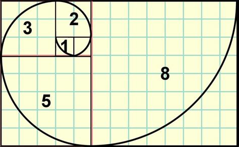 Fibonacci Sequence | Series | Spiral | Number | Code | Ratio Explained