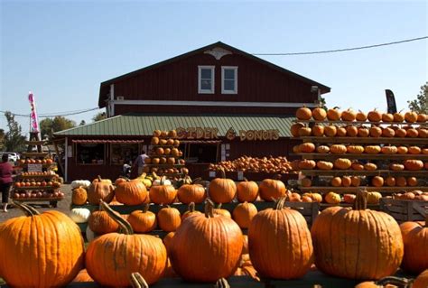 Weekdays | The Great Pumpkin Farm