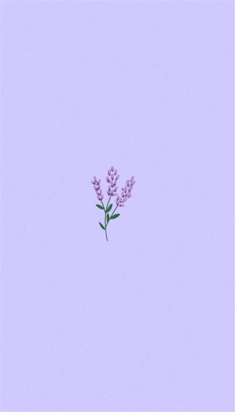 Simple Purple Flower Wallpapers - Top Free Simple Purple Flower Backgrounds - WallpaperAccess