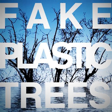 Fake Plastic Trees (cover) | Jimmy Wong