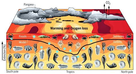 Climate change was behind Earth's largest extinction - Futurity