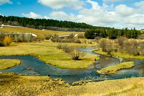 50 Years at Big Spring Creek - Fly Fisherman