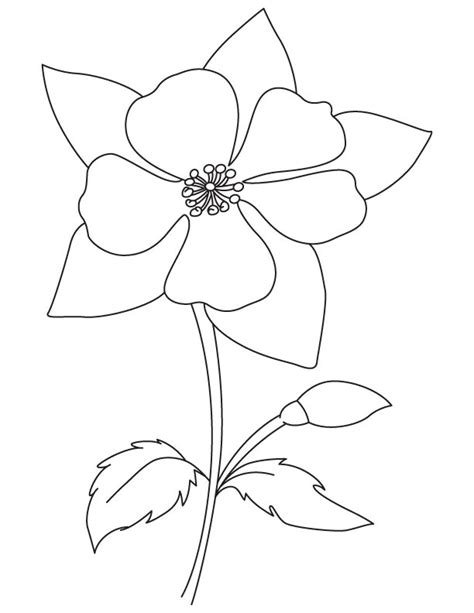 Columbine Flower Drawing at GetDrawings | Free download