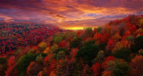 Farmers Almanac Lists Upstate NY Park As Best Spot To View Fall Colors