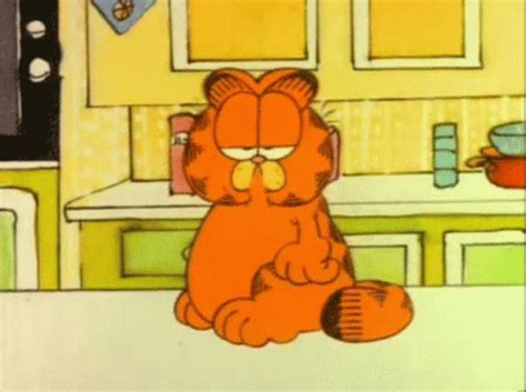 The Garfield Movie 2024 Gif - Rey Lenore