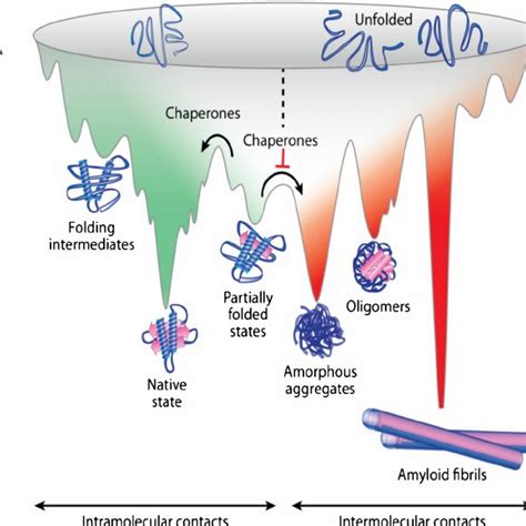 (PDF) Innovative strategies to treat protein misfolding in inborn ...