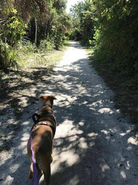 Black Island Trail - Florida | AllTrails