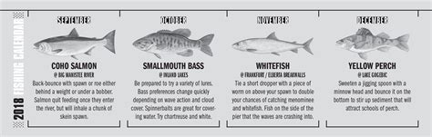 Lake Michigan Fish Species Chart