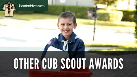 Other Cub Scout Awards Helps and Documents | Scouter Mom