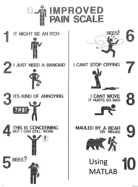 Updated pain scale for engineering students : r/rosehulman