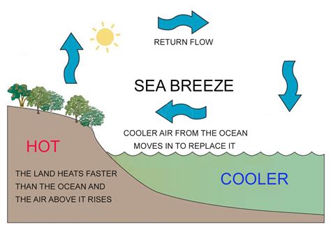 Land And Sea Breeze Diagram - Hanenhuusholli