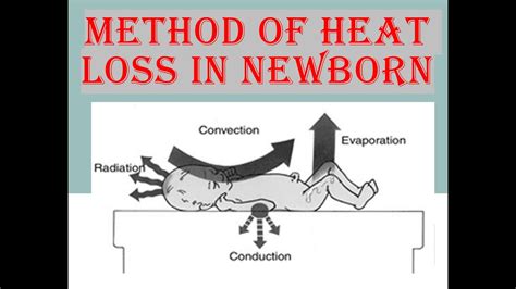 METHOD OF HEAT LOSS IN NEWBORN | NCLEX-RN | LOKSEWA | NURSING LICENSE - YouTube