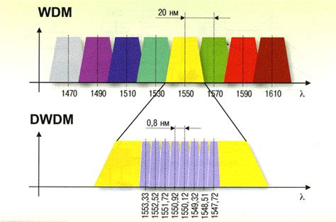 Difference between WDM and DWDM Networks | Download Scientific Diagram