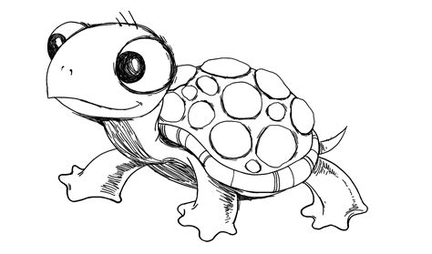 Explore collection of Sea Turtle Cartoon Drawing | Turtle drawing ...