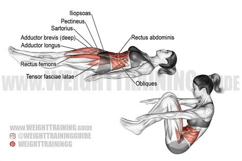 Jackknife sit-up exercise instructions and video | weighttraining.guide