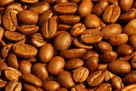 File:Medium roasted Arabica coffee beans.jpg - Wikipedia