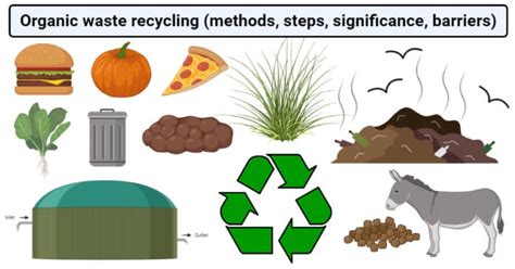 Organic waste recycling (methods, steps, significance, barriers)