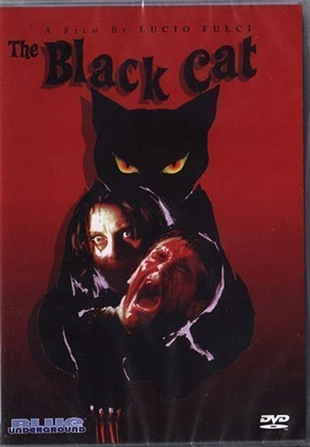 The Black Cat (1981) DVD