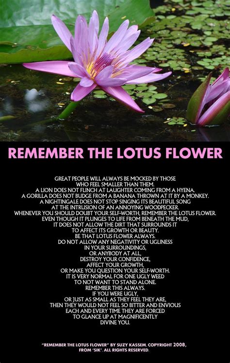 Lotus Quote : Lotus Blossom Quotes. QuotesGram / Explore our collection ...