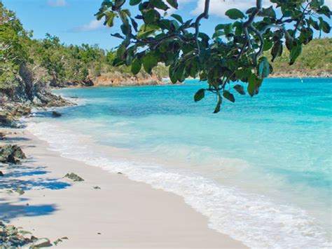 Little Hawksnest Beach - St John Beach Guide | St John Beach Guide