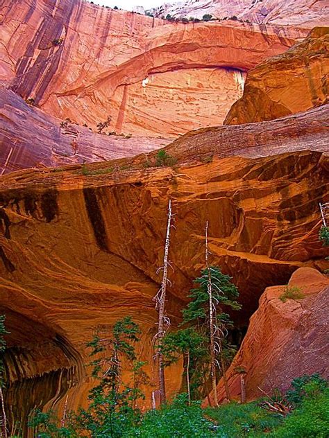 Double Arch Alcove, Kolob Canyon, Utah | Red rock canyon national conservation area, Zion ...