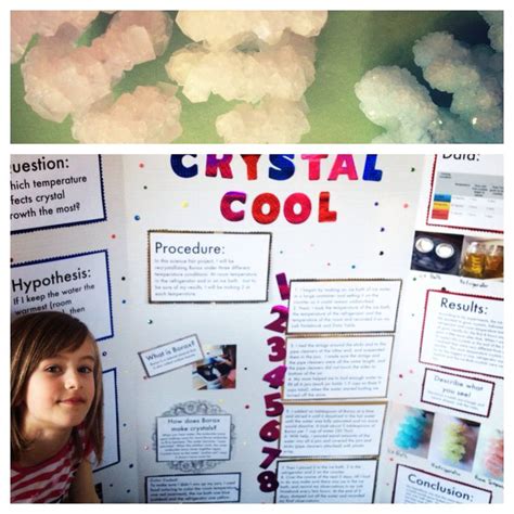 Borax Crystals for the Science Fair | Cool science fair projects, Science fair projects, Science ...