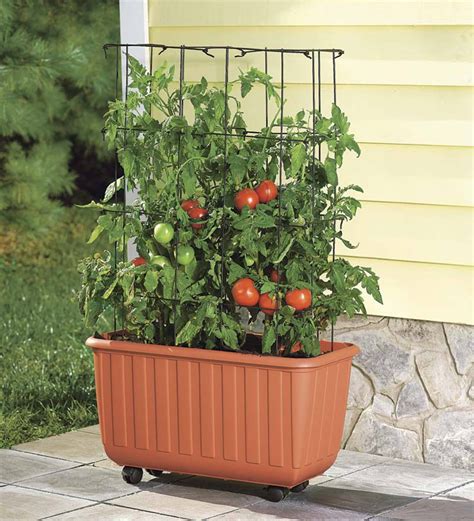 Rolling Self-Watering Tomato Planter with Metal Trellis - Walmart.com